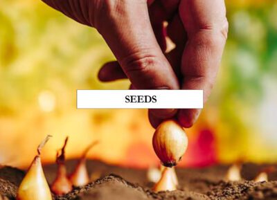 Seeds That Deliver